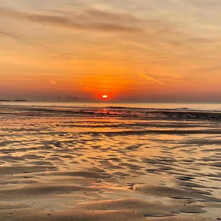 Elegant Zoute Seaside * Knokke-Heist