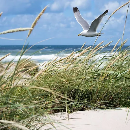 Elegant Zoute Seaside *