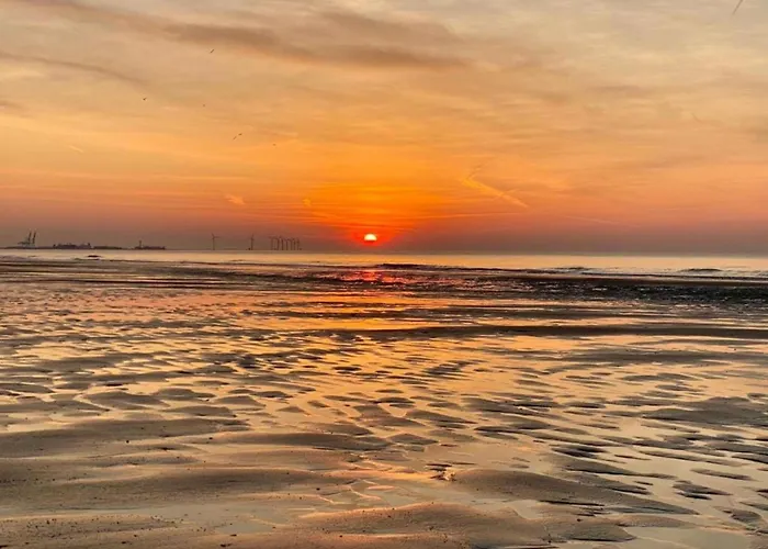 Elegant Zoute Seaside * Knokke-Heist