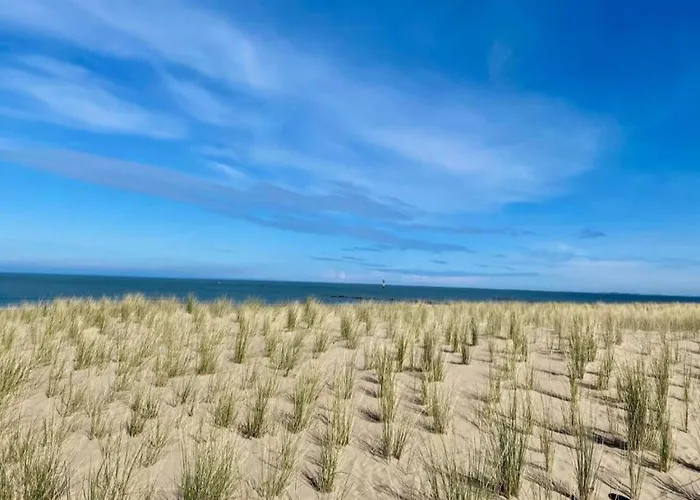 Elegant Zoute Seaside Knokke-Heist