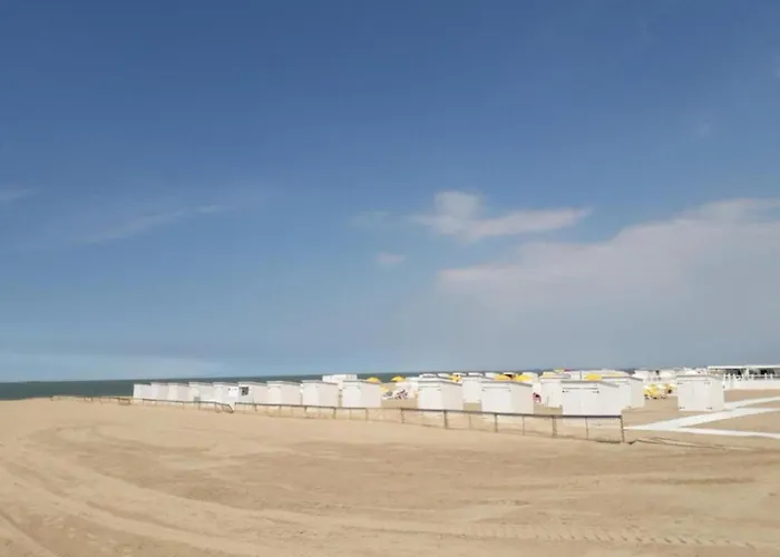 Elegant Zoute Seaside Apartment