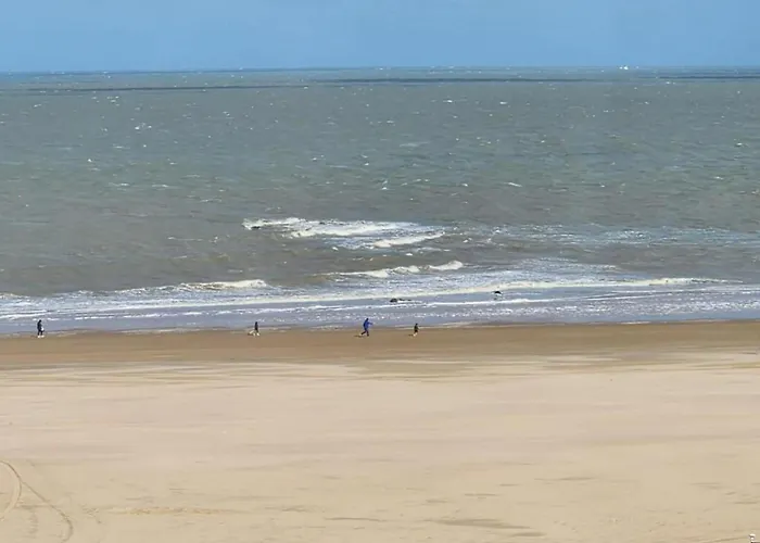 Elegant Zoute Seaside Apartment