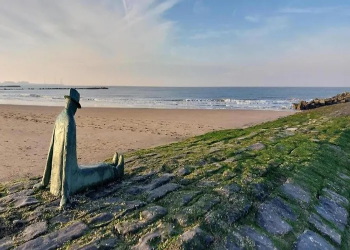 Apartment Elegant Zoute Seaside *