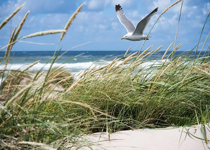 Elegant Zoute Seaside *